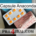 Anaconda Capsule new13